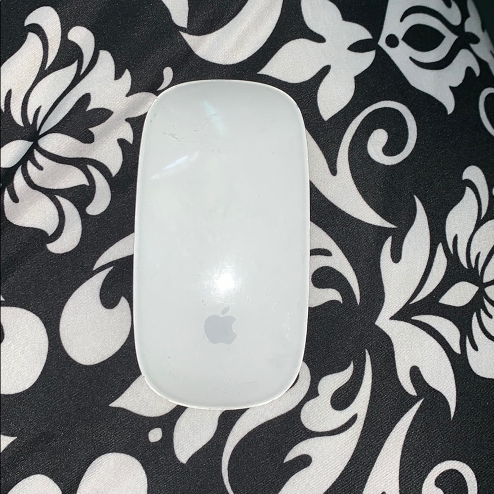 Apple Computer Mouse